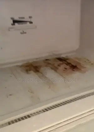 We Clean Even When You’Re Home!