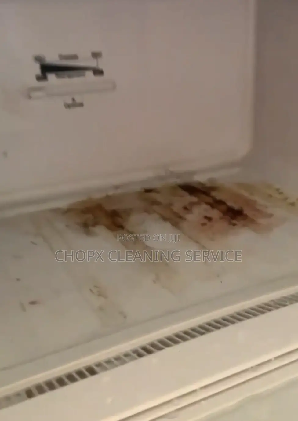 We Clean Even When You’Re Home!