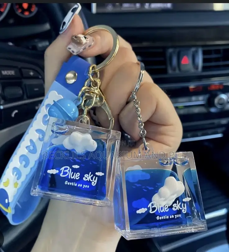 Morden Key Holders