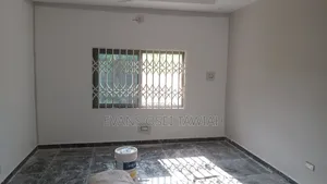 Professional Painter