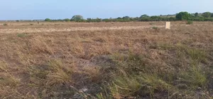 Stunning Developing Gated Lands at Prampram Beach Lane