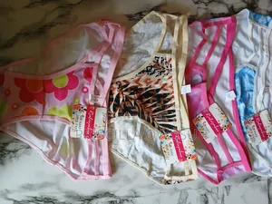 A Dozen (12pcs) Ladies Panties