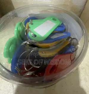 Colour Key Ring