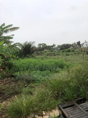 Titled Two and Half Plot at Sakumono Estates