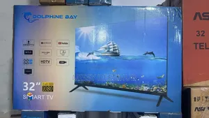 32" Smart Tv From Dolphine Bay
