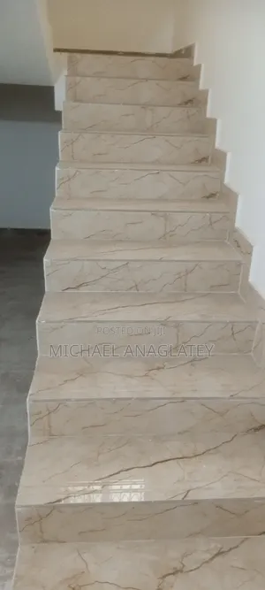 Professional Tile Layer
