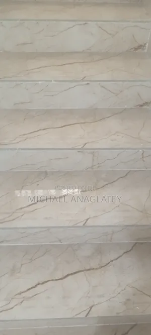 Professional Tile Layer