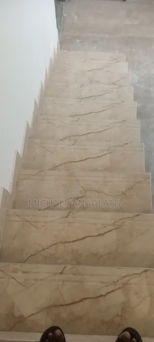 Professional Tile Layer