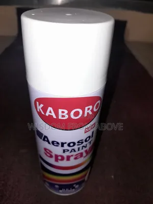 Foreign High Quality Anti Rust Oil Can Spray Available