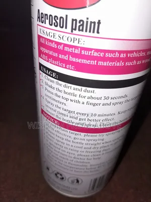 Foreign High Quality Anti Rust Oil Can Spray Available