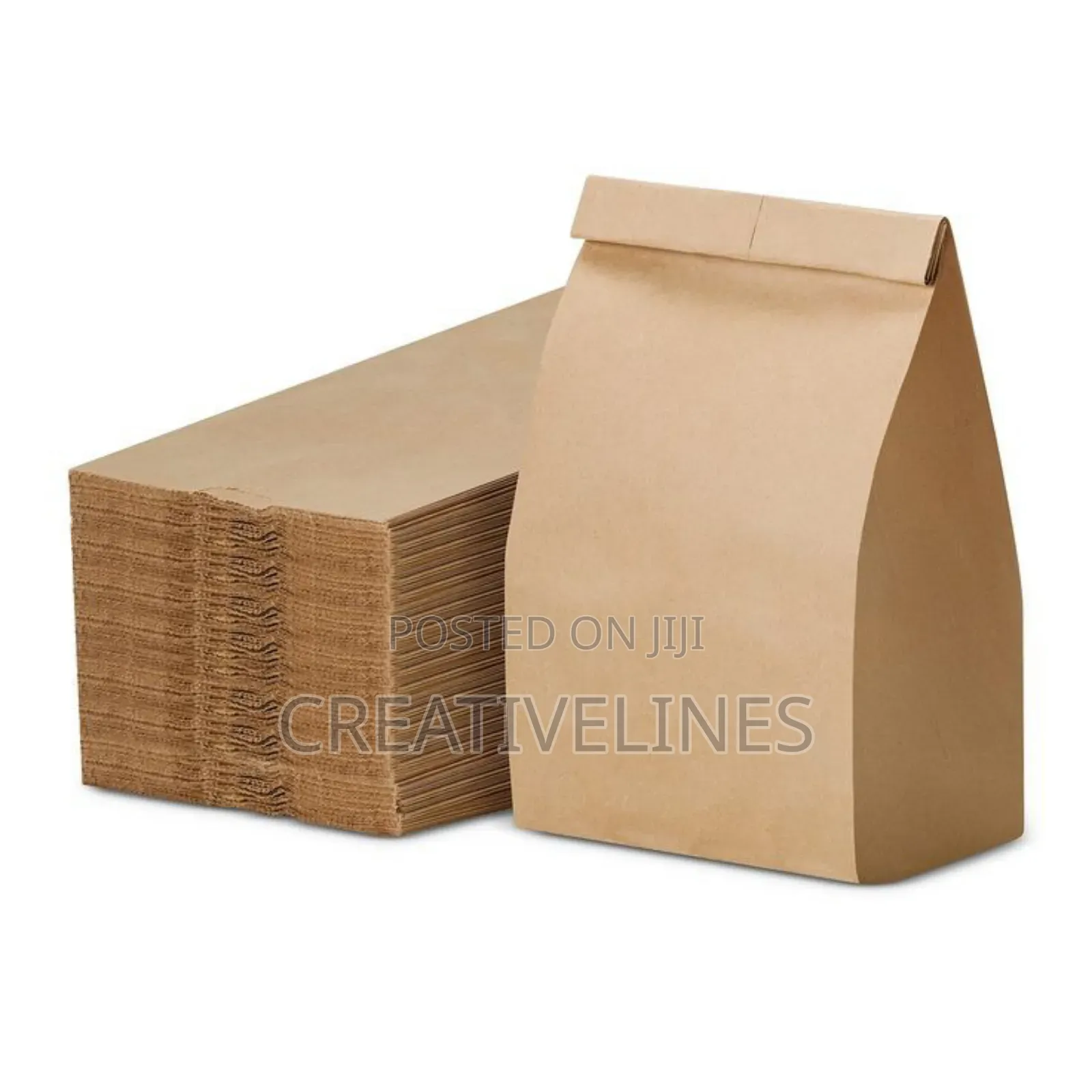 Packaging Paper Bags