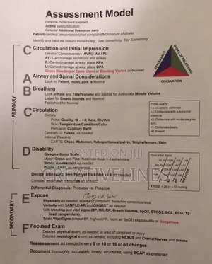 Examination Questions Printing