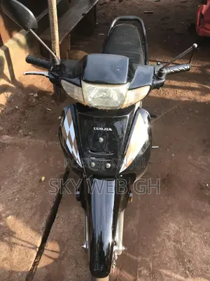 Luojia 110cc 2022 Black