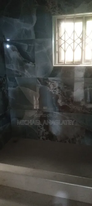 Professional Tile Layer Man