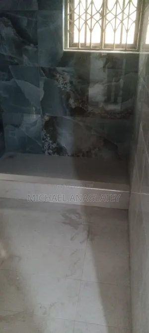 Professional Tile Layer Man