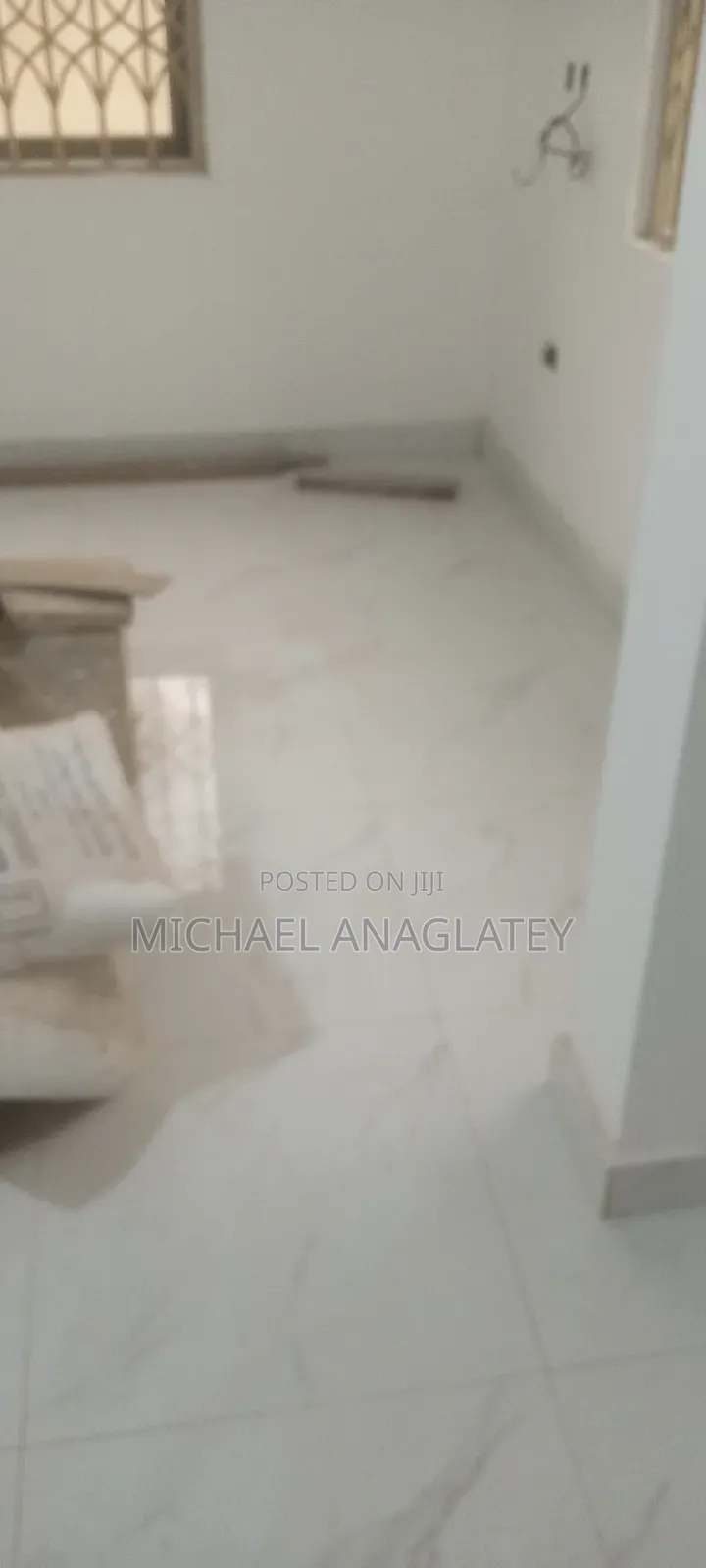 Professional Tile Layer Man