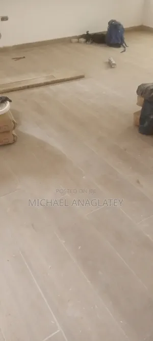 Professional Tile Layer Man