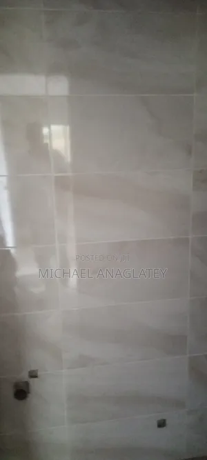 Professional Tile Layer