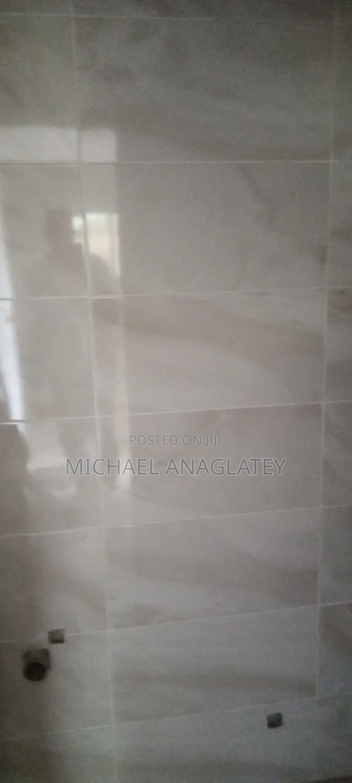 Professional Tile Layer