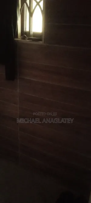 Professional Tile Layer