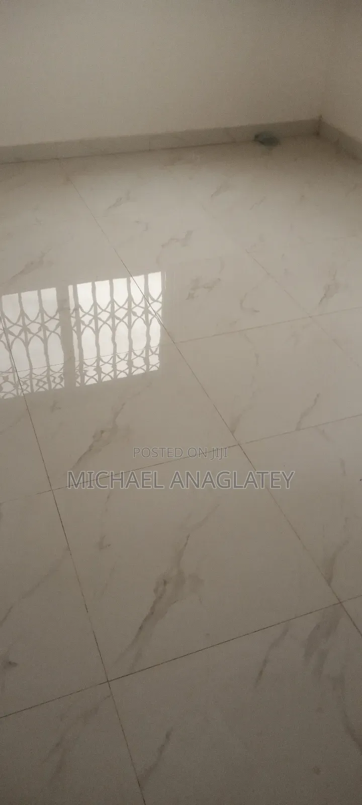 Professional Tile Layer