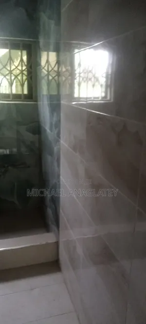 Professional Tile Layer