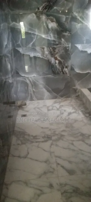 Professional Tile Layer