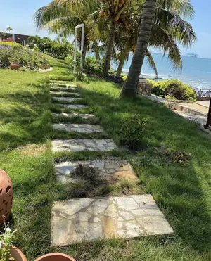 Home and Garden Cleaning