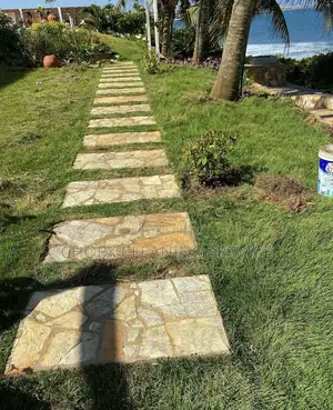 Home and Garden Cleaning