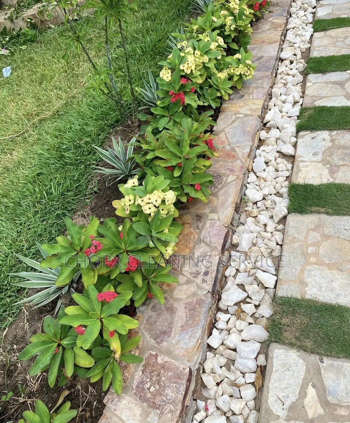 Home and Garden Cleaning