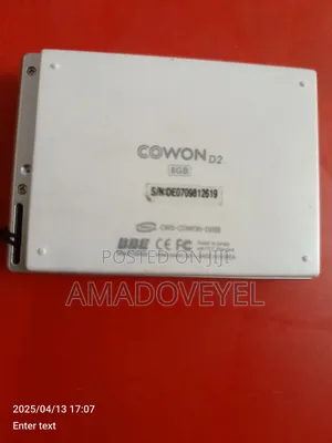 Crown D2 Digital Mp3 Player
