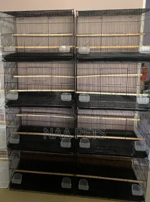 Quality Bird Cage