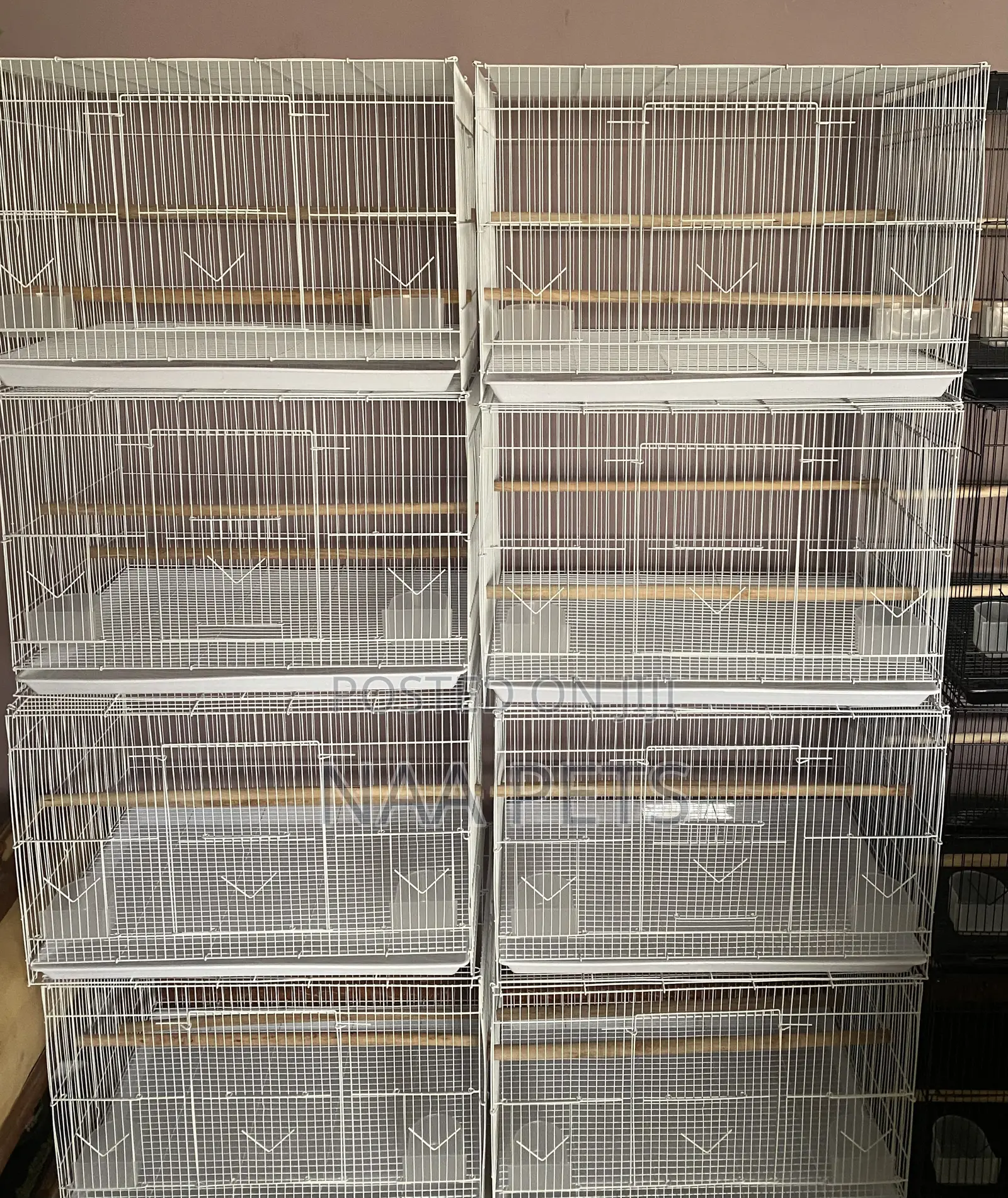 Quality Bird Cage