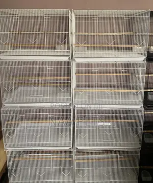 Quality Bird Cage