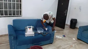 National Sofa Cleaning Service With Cleantex