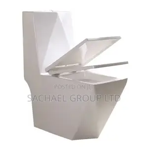 Elegant Wc With Pedestal Basin
