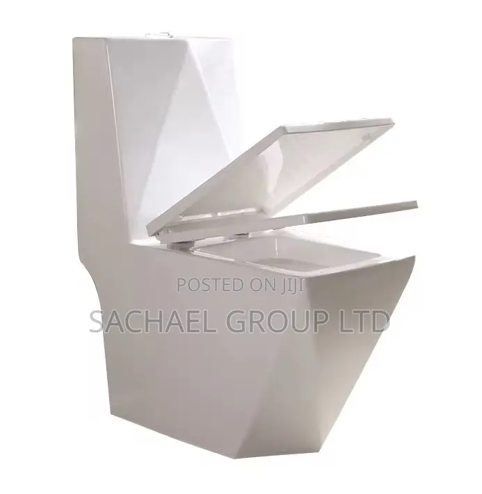 Elegant Wc With Pedestal Basin