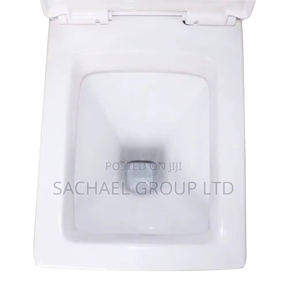 Elegant Wc With Pedestal Basin