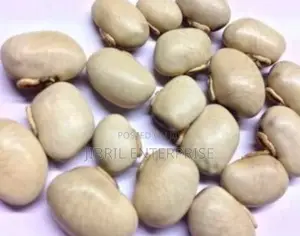 White Mucuna Pruriens, White Velvet Beans
