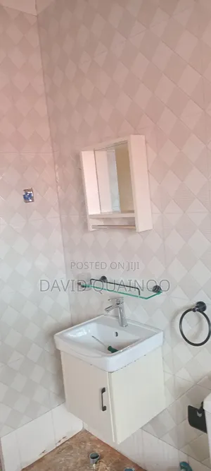 Professional Plumbing