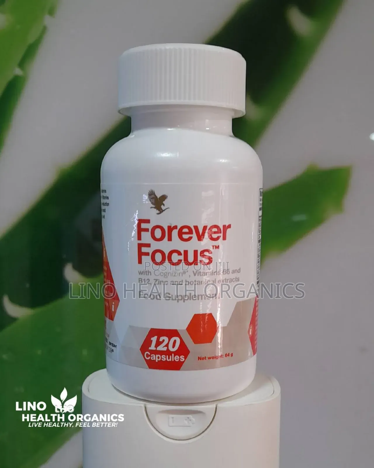 Brain Booster and Mental Clarity Supplement | Forever Focus