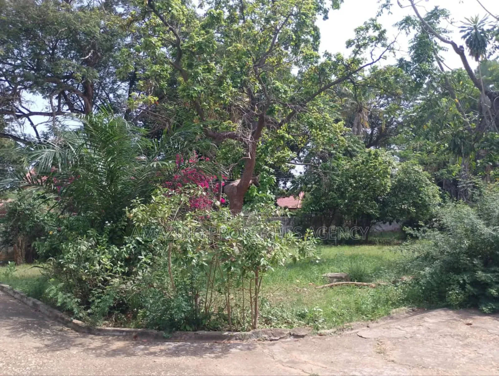 4bdrm House in Tesano for sale