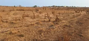 Free and Genuine Half Plot Allocation at Prampram Beach Road