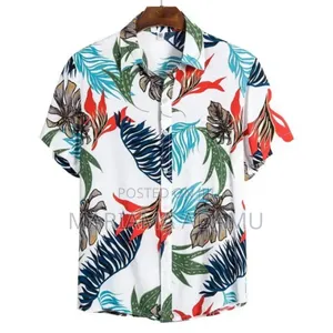 Summer Shirts