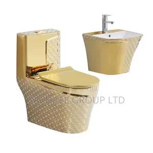 Stylish Golden Wc With Basin