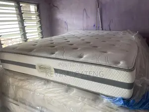 Beautyrest Recharge Deluxe Bed(Queen) 60/80inches