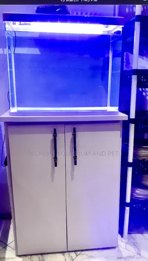 2 Feet. Aquarium Package( It Includes Fishes)