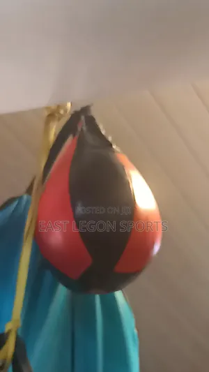 Everlast Professional Boxing Speed Ball Punch Ball