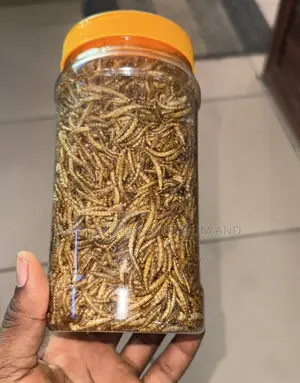 Dried Mealworms/Fish Feed