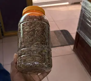 Dried Mealworms